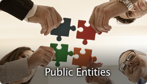 Public Entities
